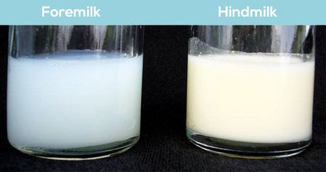 What to Know About Foremilk and Hindmilk