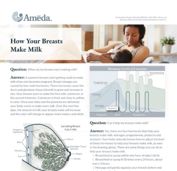 How Your Breasts Make Milk